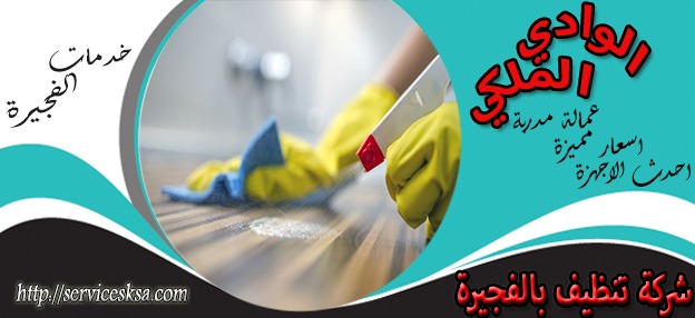 شركة تنظيف فى الفجيرة شركة تنظيف فى الفجيرة