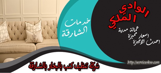 شركة تنظيف كنب بالبخار في الشارقة شركة تنظيف كنب بالبخار في الشارقة