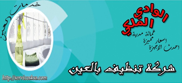 شركة تنظيف فى العين شركة تنظيف فى العين