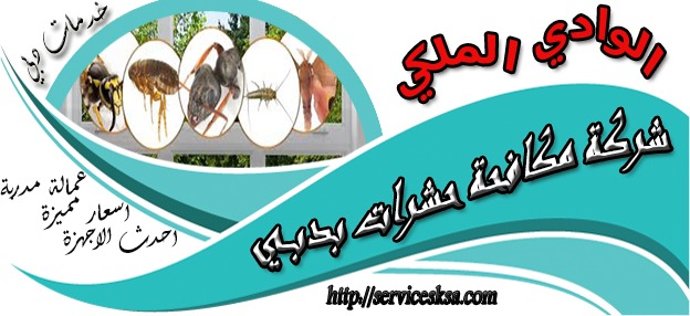 شركة مكافحة حشرات في دبى شركة مكافحة حشرات في دبى