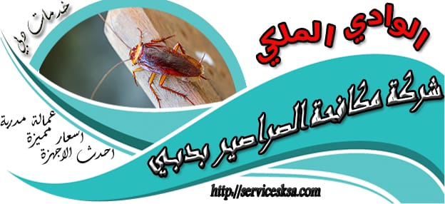 شركة مكافحة الصراصير فى دبى