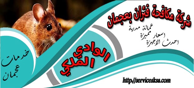 شركة مكافحة الفئران فى عجمان