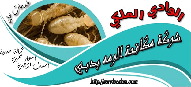 شركة مكافحة الرمة فى دبى